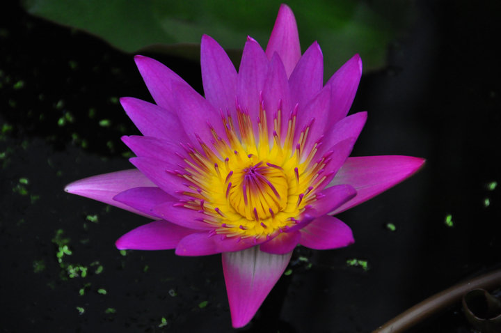 neo_img_dsc_0054.jpg