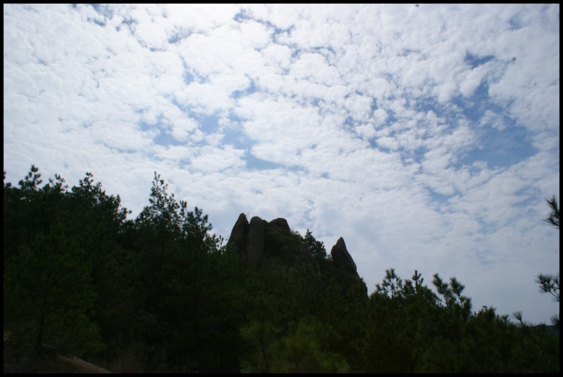 conew_dsc02326.jpg