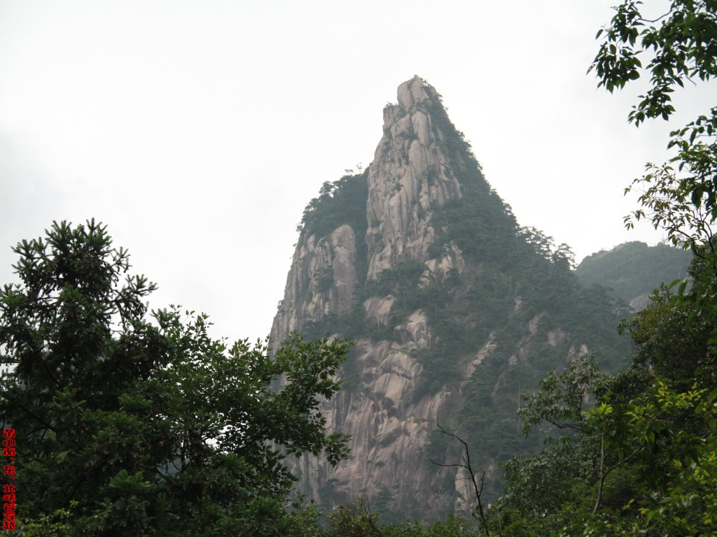 img_0162_conew1.jpg