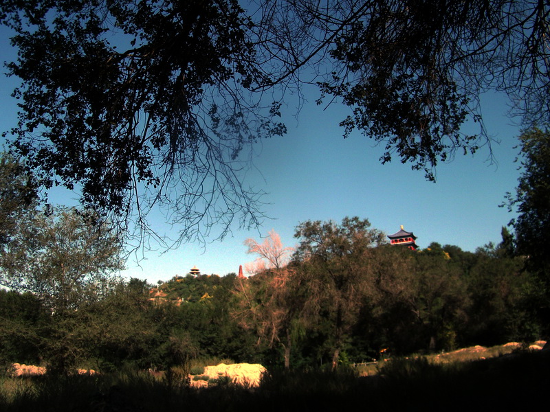 dscf0039.jpg