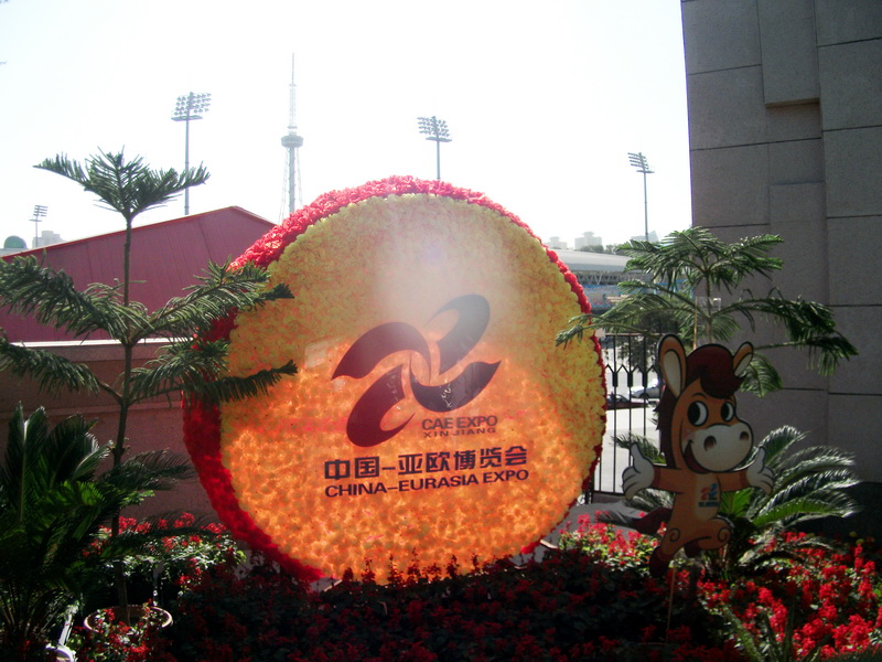dscf0063.jpg