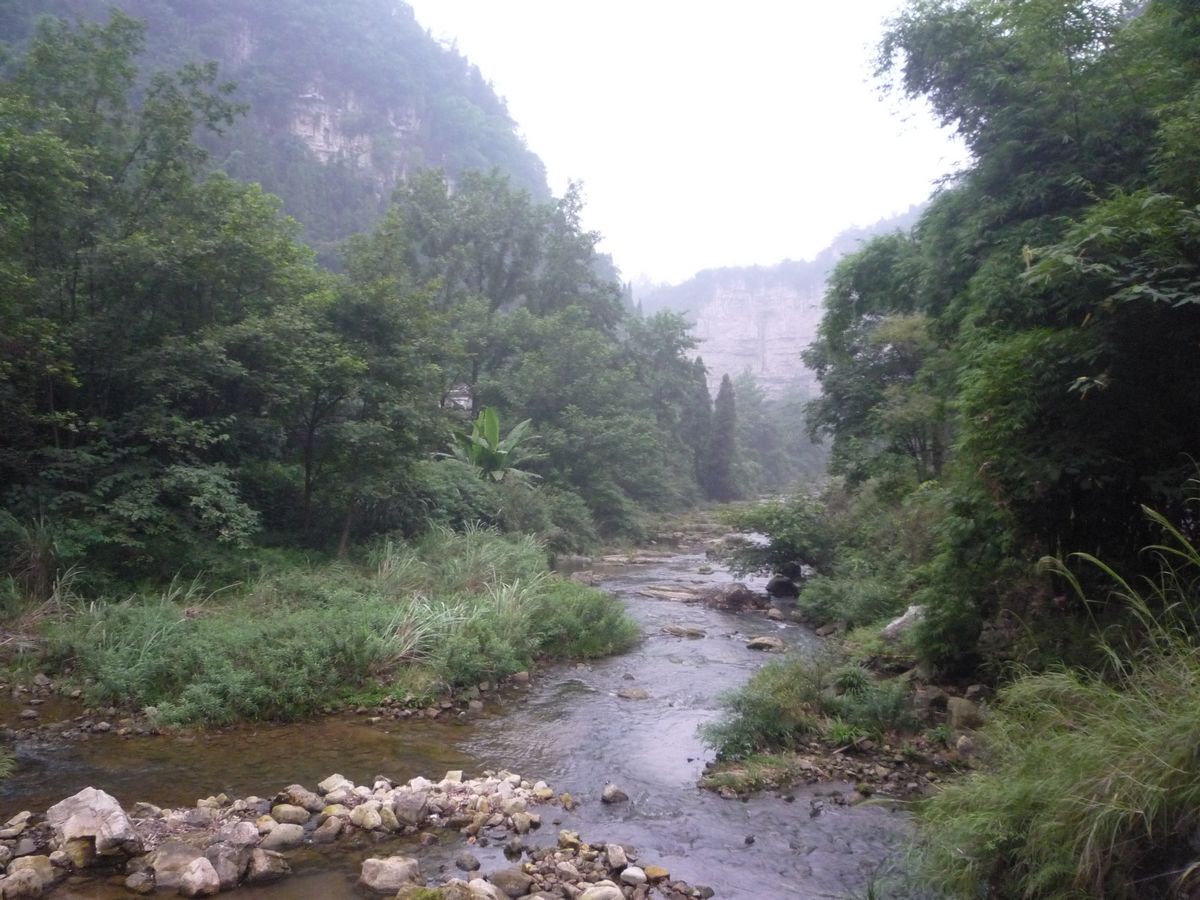 p1110930.jpg