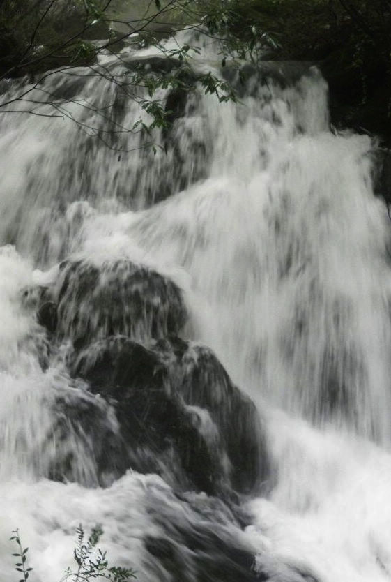 dscn0867.jpg