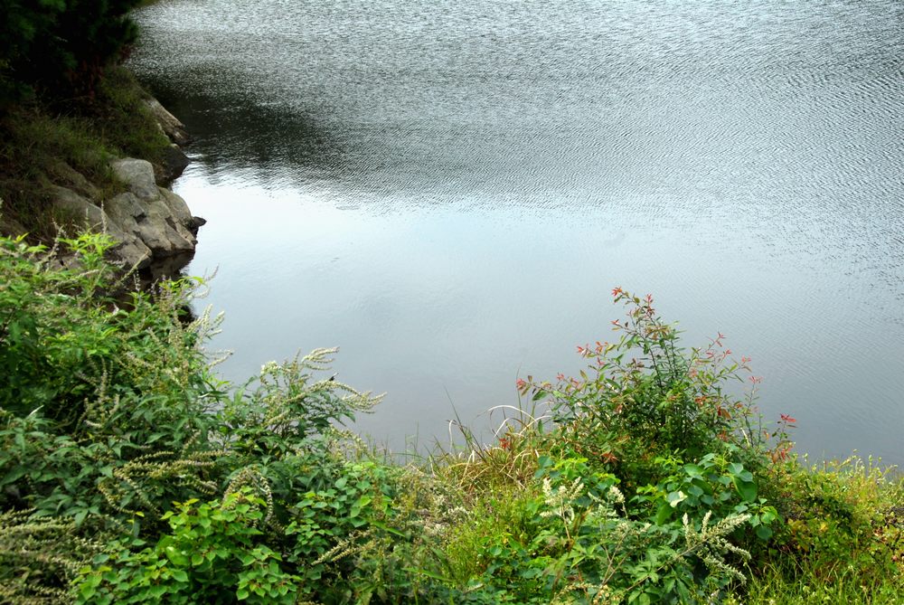 dsc_0381.jpg
