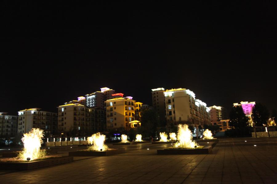 С 110.jpg