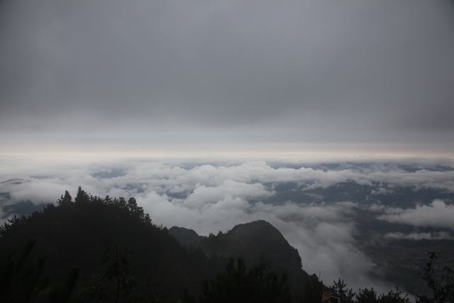 img_2248.jpg