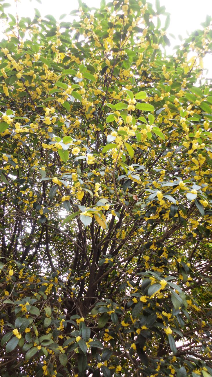 neo_img_dsc09297.jpg