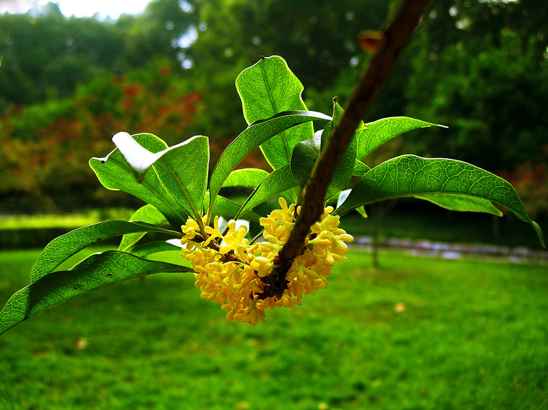 dscn6857ab.jpg