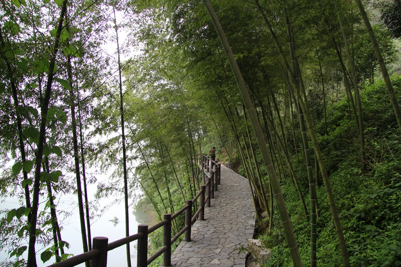 img_6623.jpg