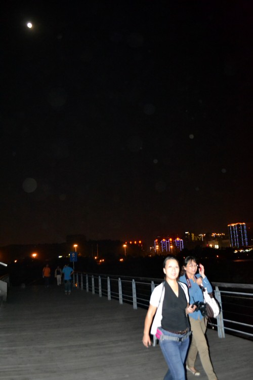 11 041_conew1.jpg