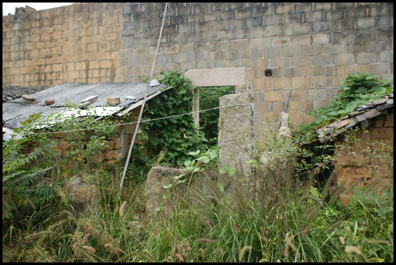 conew_dsc02772.jpg