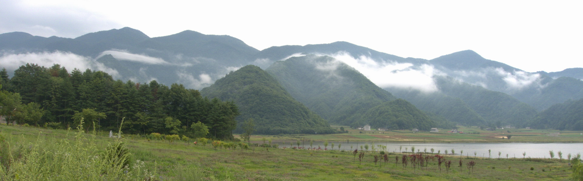 p1160170-1.jpg