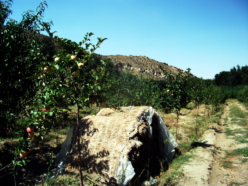 dscf0078.jpg