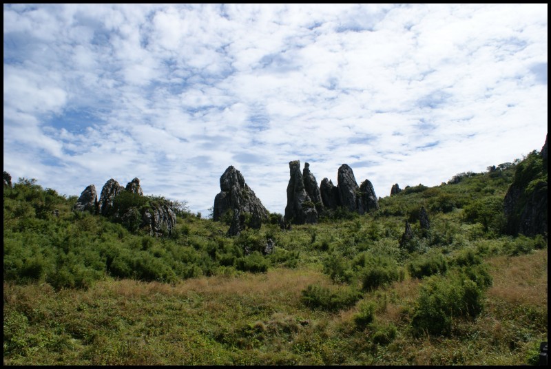 conew_dsc01160.jpg