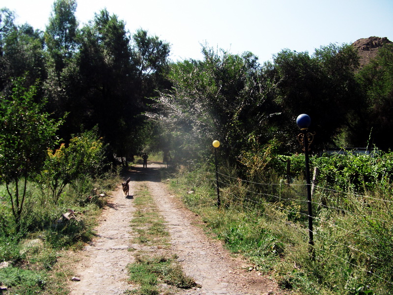 dscf0079.jpg