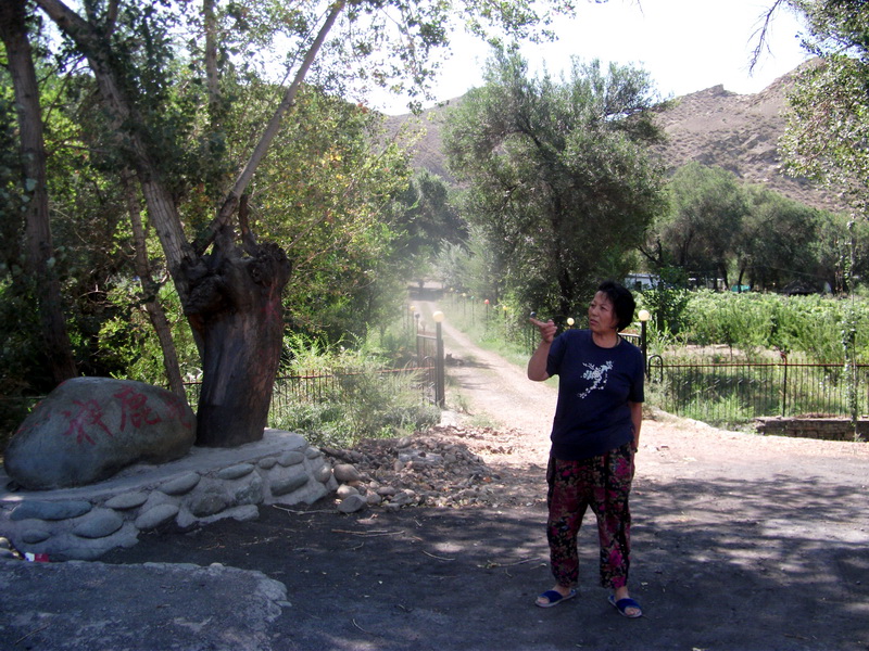 dscf0080.jpg