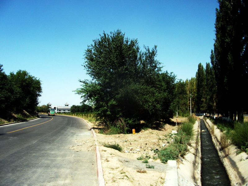 dscf0076.jpg