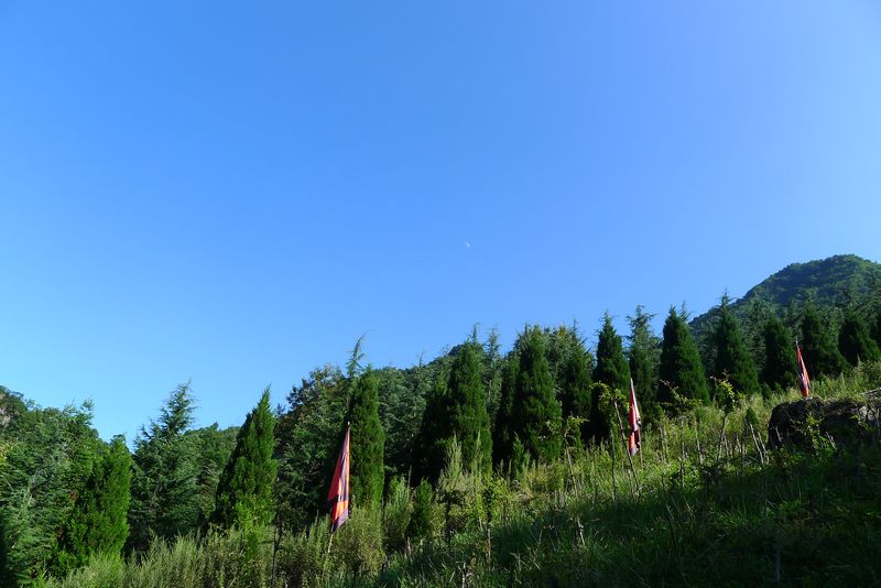 125.jpg