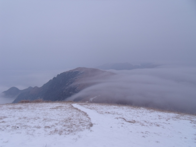 dscf3501.jpg