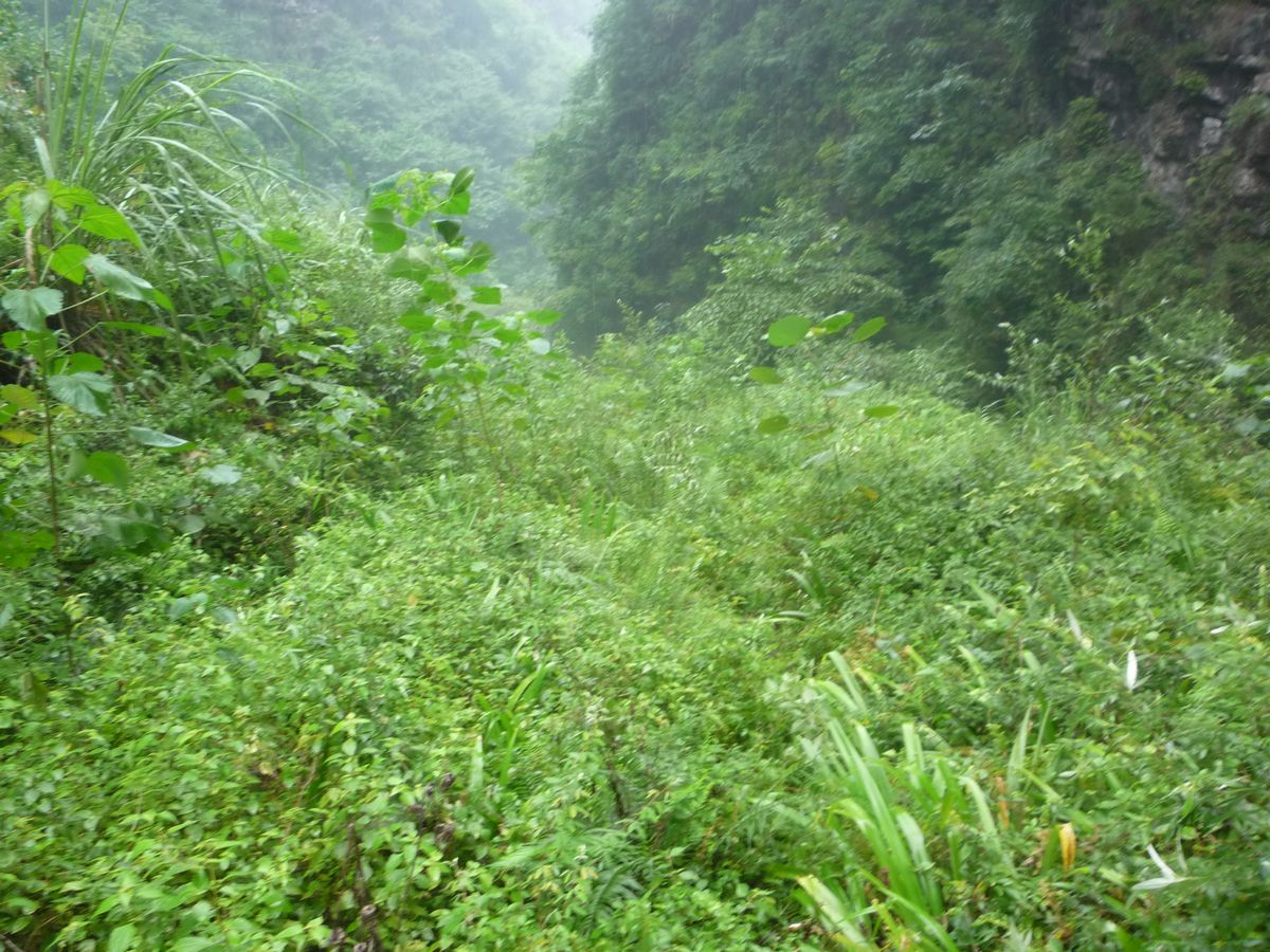 p1120113.jpg