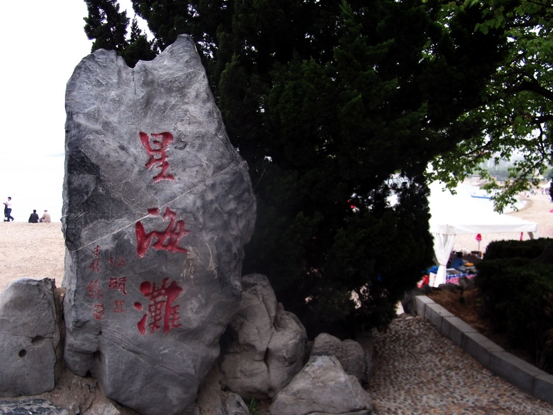 dscf0303.jpg