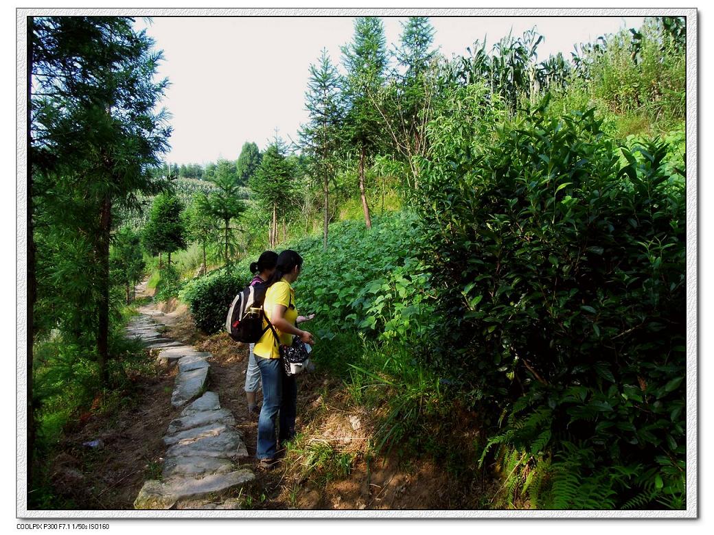2012.08.10 恩施之旅_鱼木寨-三阳关 (11).jpg