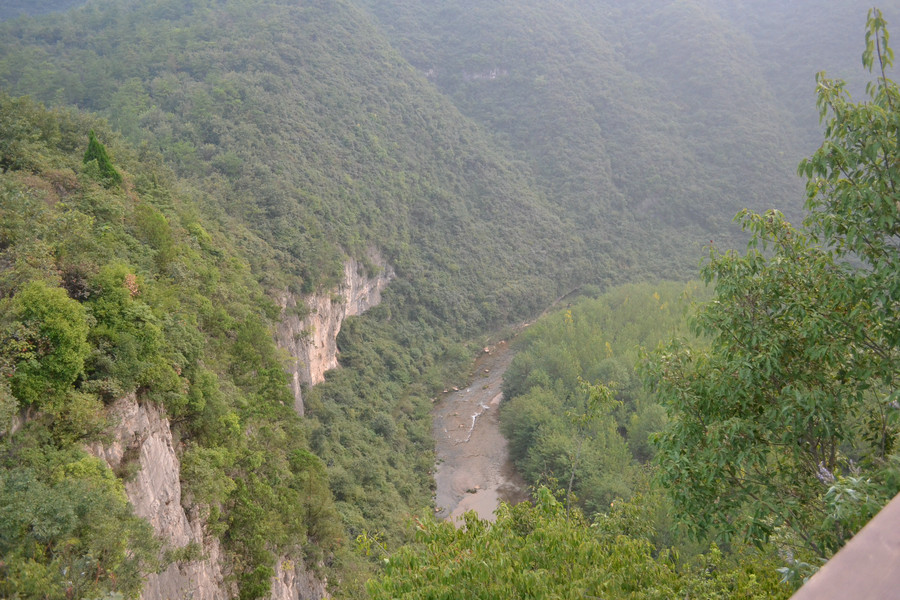 dsc_0415.jpg