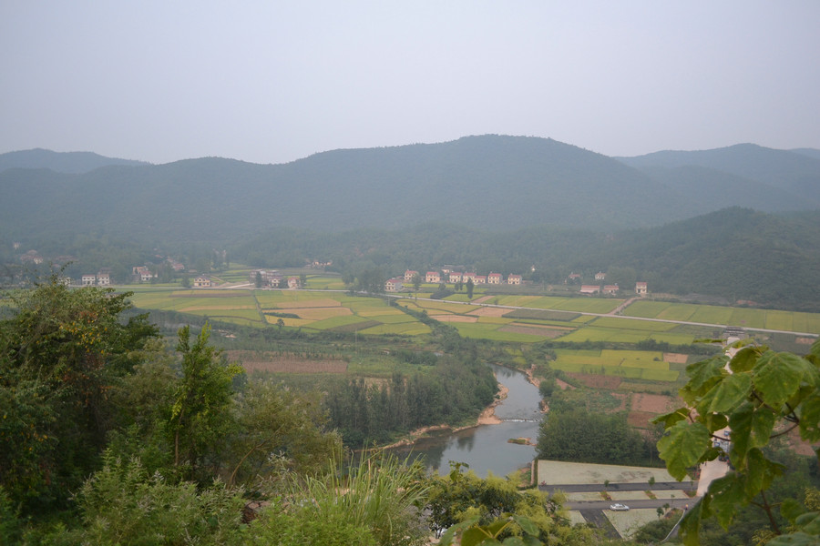 dsc_0431.jpg