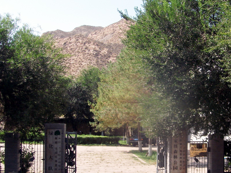 dscf0096.jpg