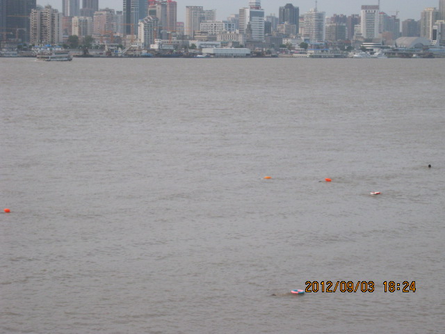 img_6816.jpg