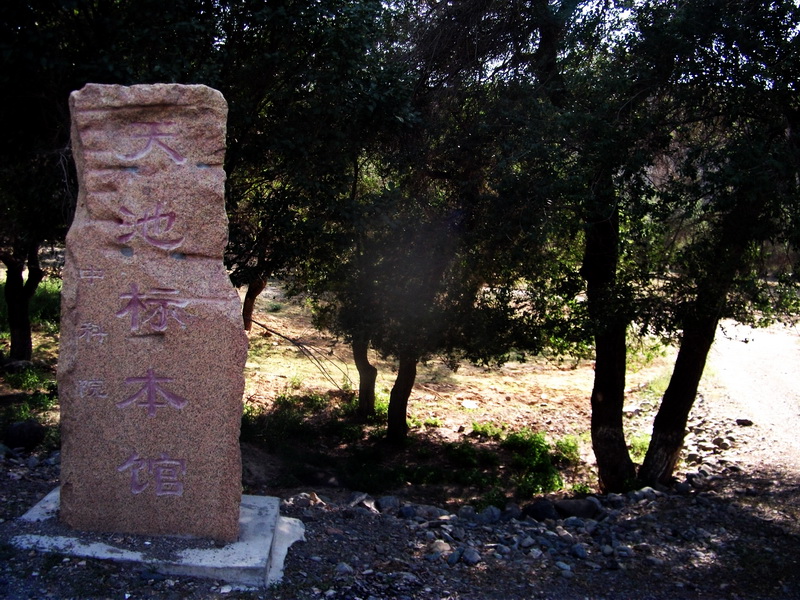 dscf0123.jpg