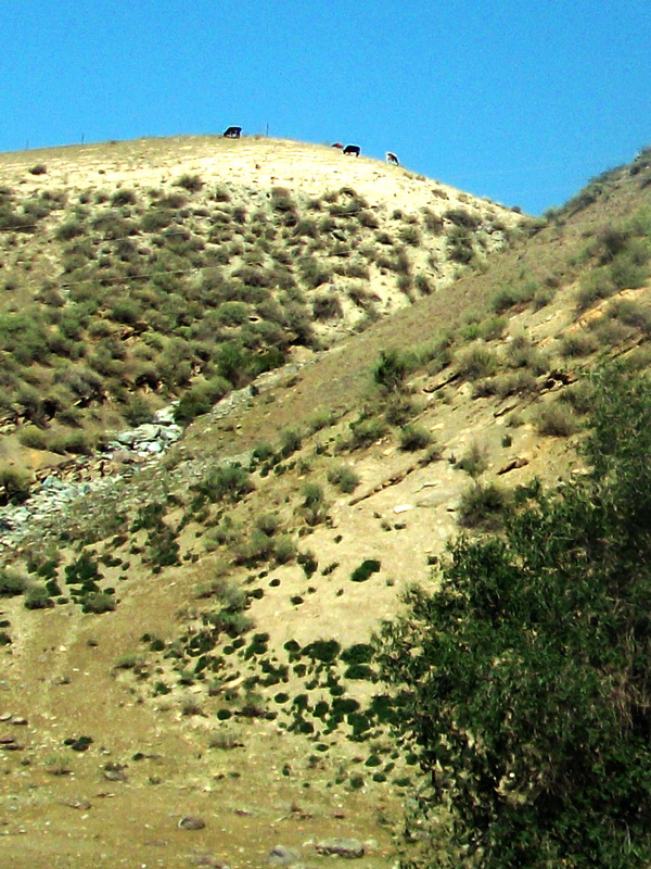 dscf0127.jpg