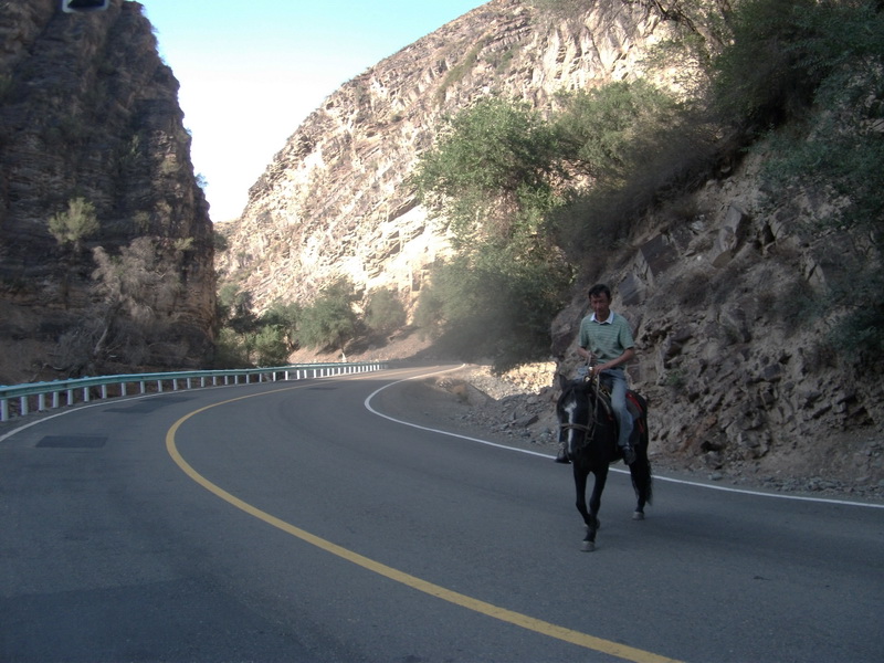 dscf0133.jpg