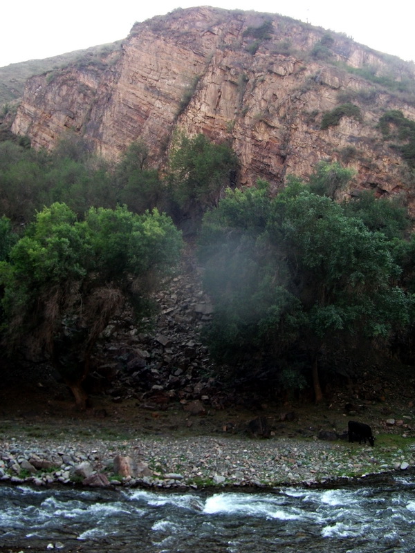 dscf0135.jpg