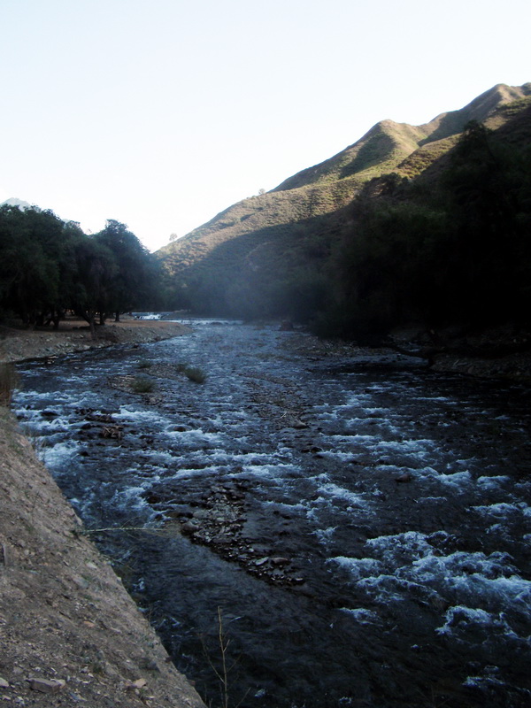 dscf0137.jpg