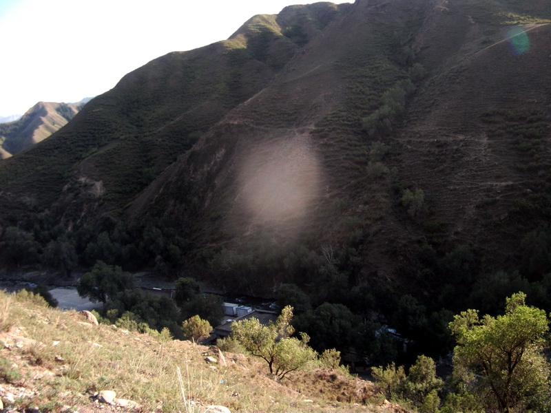 dscf0142.jpg