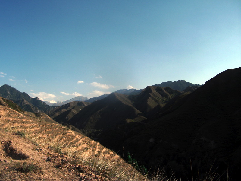 dscf0143.jpg