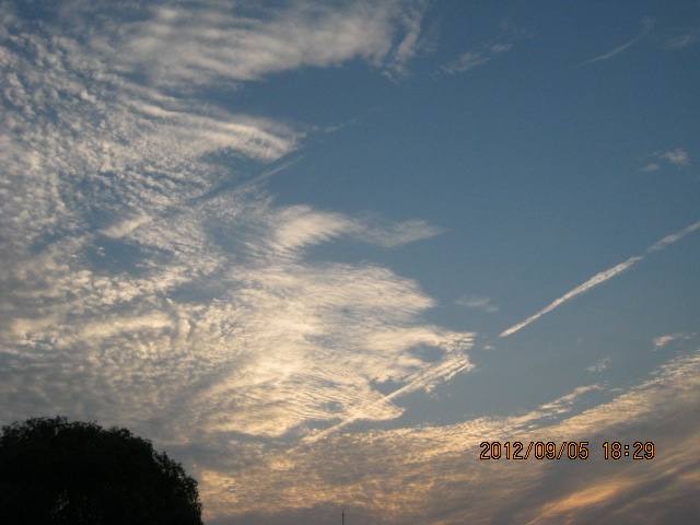 img_6836.jpg