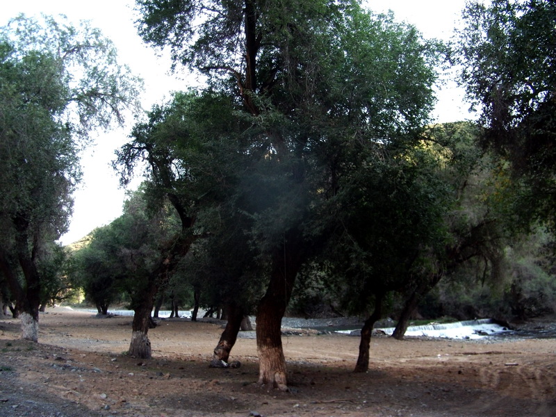 dscf0138.jpg