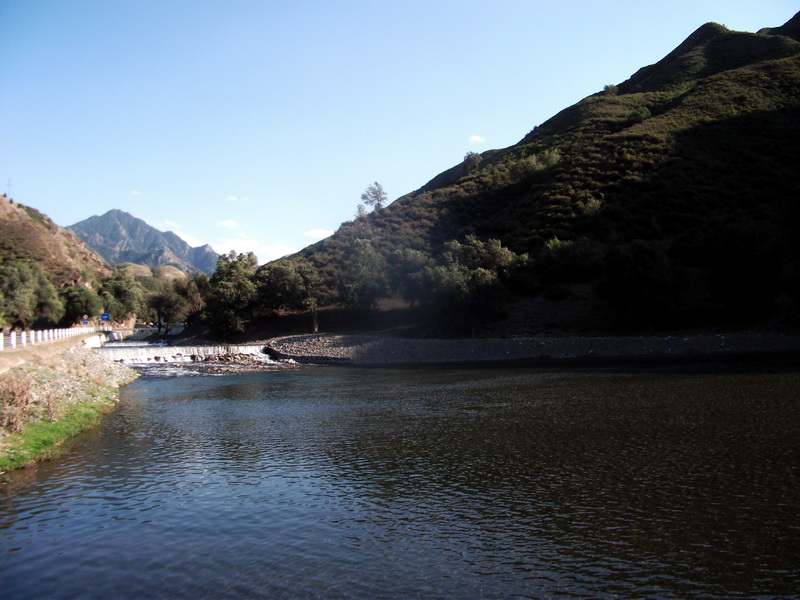 dscf0139.jpg