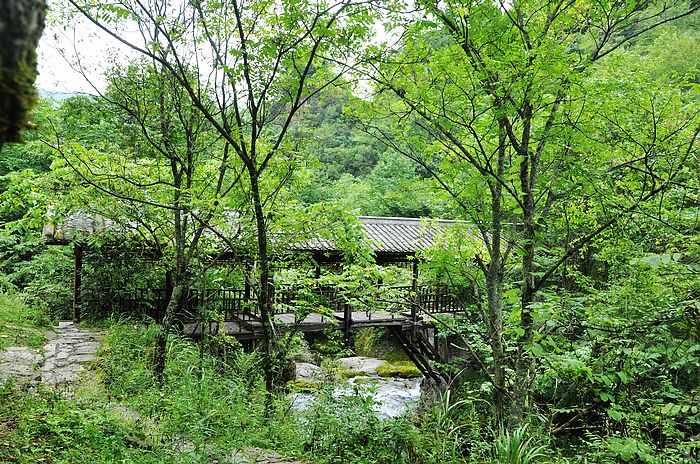 neo_img_dsc_0570.jpg