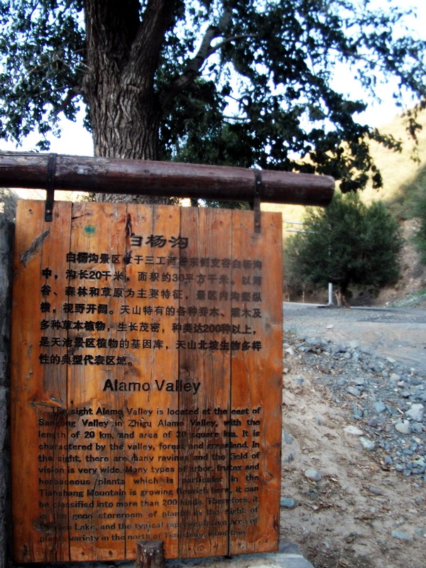 dscf0144.jpg
