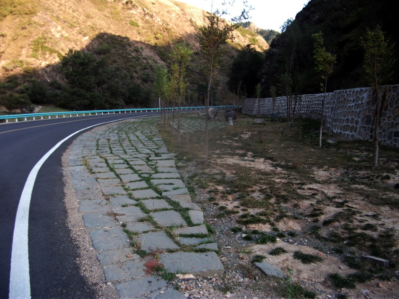 dscf0147.jpg