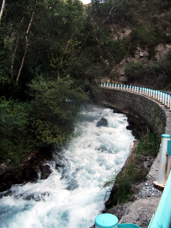 dscf0153.jpg