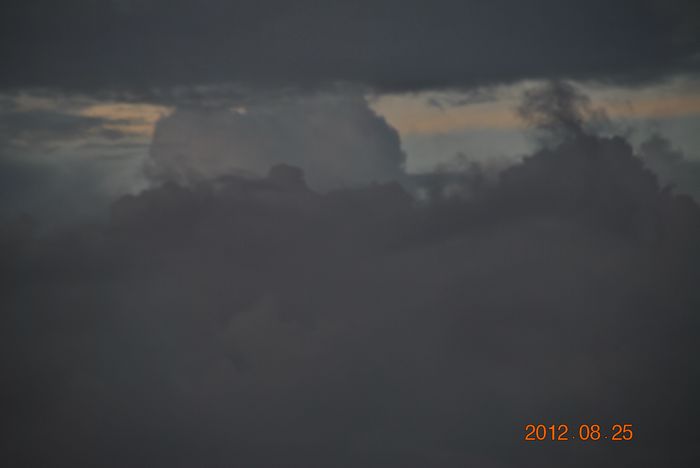 dsc_4948.jpg