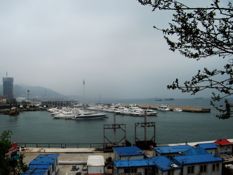dscf0333.jpg