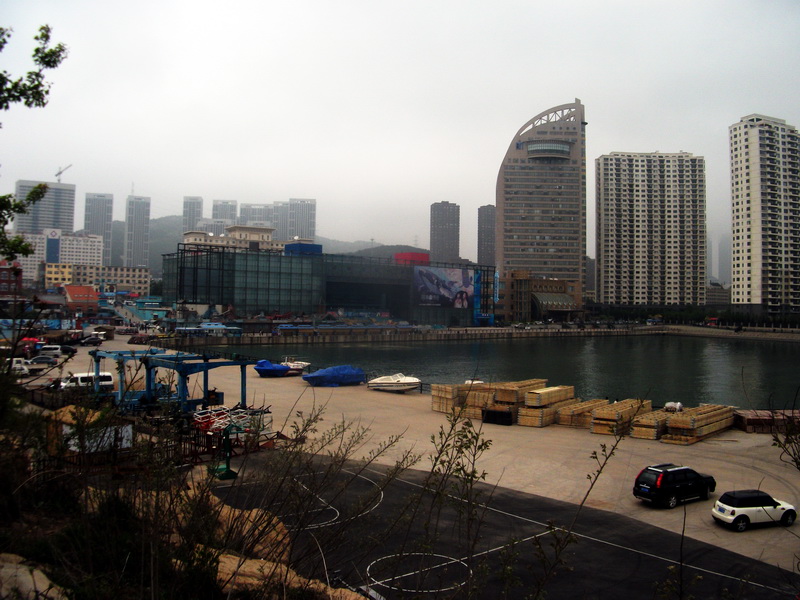 dscf0335.jpg