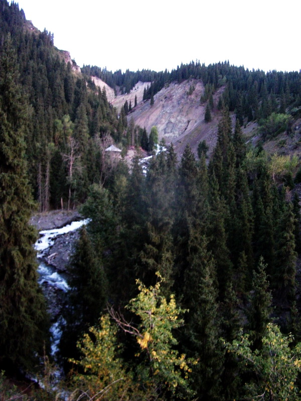 dscf0171.jpg