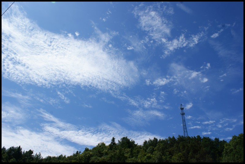 conew_dsc00337.jpg