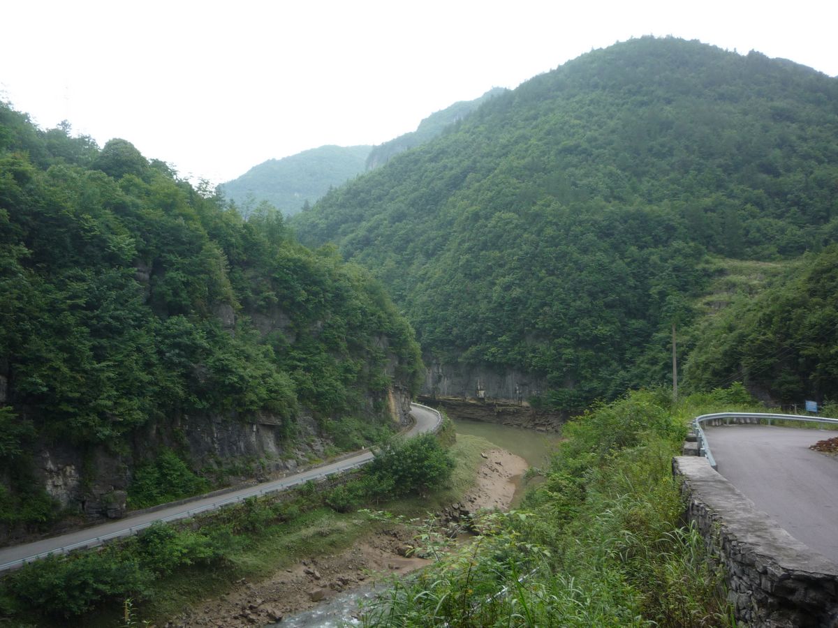 p1120214.jpg